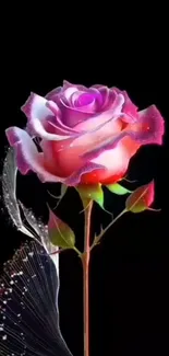 Elegant neon rose against a black background.