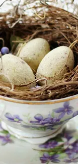 Delicate bird's nest in floral teacup with eggs.