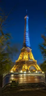 Eiffel Tower illuminated at night with surrounding greenery viewed from below.