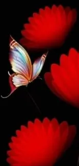 Mobile wallpaper with red flowers and a glowing butterfly saying Good Night.