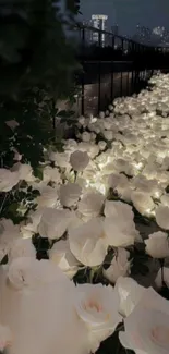 Glowing white roses illuminate a serene night garden pathway.