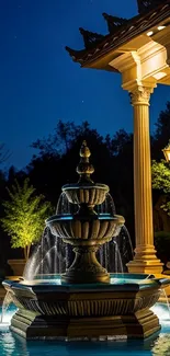 Elegant night garden fountain with ambient lighting.