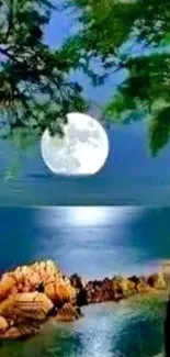 Serene night ocean with full moon reflection and foliage.