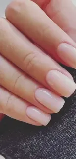 Elegant nude nail design on hand for mobile wallpaper.