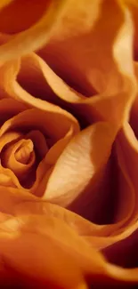 Close-up of elegant orange rose petals creating an artistic mobile wallpaper.