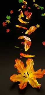 Elegant orange tulip petals on dark background wallpaper.