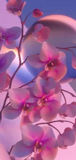 Pink orchids against a gradient blue and purple background.