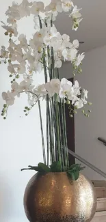 Golden vase with white orchids in a modern interior setting.