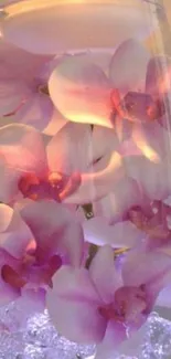 Orchids in vase with glowing candle mobile wallpaper