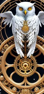 Intricate owl clockwork mobile wallpaper with elegant details.