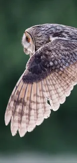 Graceful owl soaring through green scenery.