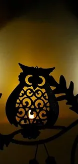 Three owl silhouettes in warm ambient light.