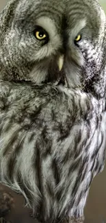 Majestic gray owl with piercing yellow eyes in a detailed, textured portrait.