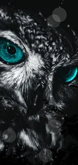 Black and white owl with turquoise eyes on a dark background mobile wallpaper.