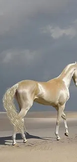 Elegant palomino horse standing on beach with cloudy sky.