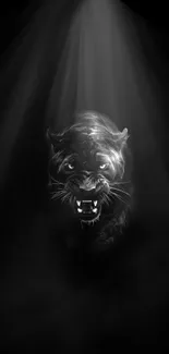 Panther emerging from shadows wallpaper in striking black and white.