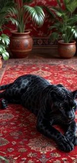 Black panther lounging on red carpet surrounded by green plants.