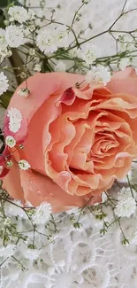 Peach rose with white flowers on lace background.