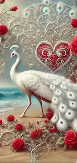 Elegant white peacock on beach with roses.