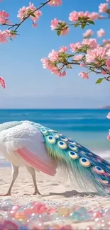 A white peacock stands elegantly on a beach with pink cherry blossoms above.
