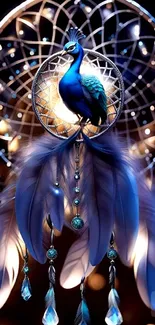 Elegant blue peacock dreamcatcher with feathers and lights.