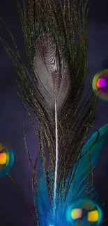 Peacock feather and bubbles on dark background wallpaper.