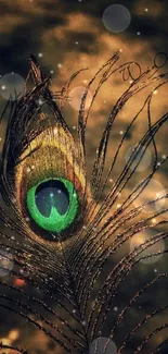 Elegant close-up of a peacock feather with vibrant colors.