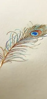 Elegant wallpaper featuring a single peacock feather on beige background.