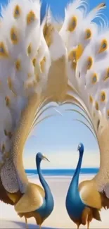 Elegant peacocks with feathers displayed on a sandy beach background.