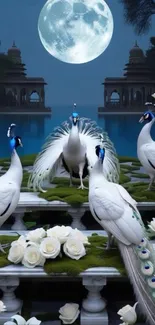 Elegant white peacocks under a full moon with white roses.