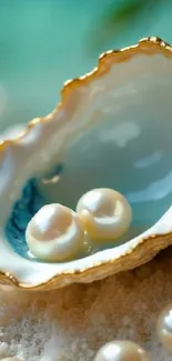 White pearls resting in a golden shell.
