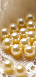 Soft-focus pearls on lace background wallpaper.