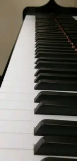 Close-up of a piano keyboard, highlighting black and white keys.