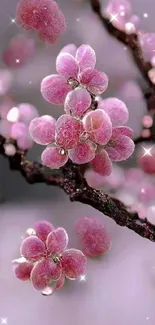 Pink blossoms with frosty details on dark branches.