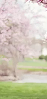 Delicate pink blossoms with serene landscape background.