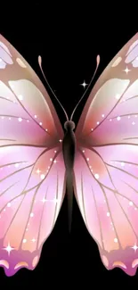 Elegant pink butterfly with sparkles on a dark background.