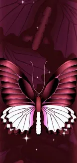 Pink butterfly on maroon background wallpaper.