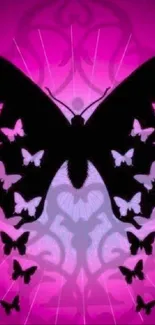 Pink wallpaper with black butterfly silhouette and multiple smaller butterflies.