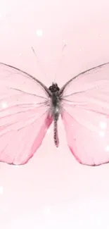 Elegant light pink butterfly with delicate shimmering wings.