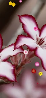 Close-up of elegant pink flowers with blurred background.