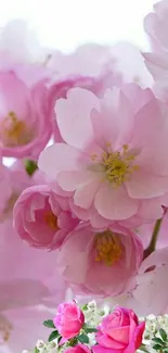 Pink floral wallpaper with delicate blossoms and vibrant roses.