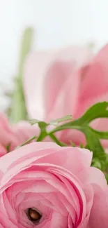 Elegant mobile wallpaper with pink flowers and green leaves.