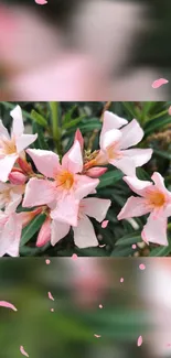 Delicate pink flowers amidst green leaves on wallpaper.