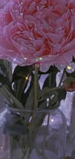 Pink peony in a glass jar with sparkling star effects