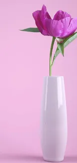 Pink flower in white vase on a pastel pink background.