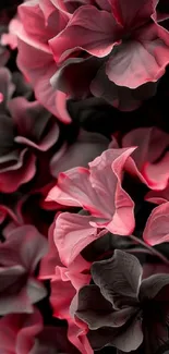 Elegant pink and black floral wallpaper with delicate petals.