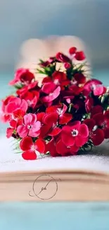 Pink flowers on an open book, blurred background.