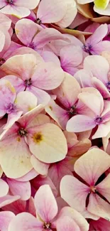 Close-up of light pink flowers forming a seamless mobile wallpaper design.