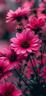 Elegant pink flowers with lush foliage.