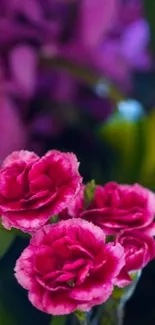 Vibrant pink flowers with a lush, green background.